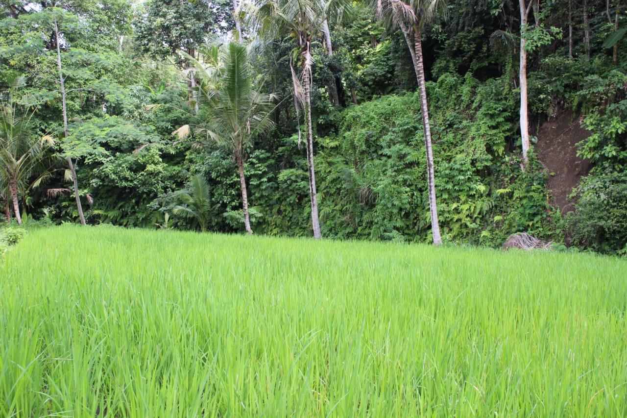 סיידמן Pondok Tepi Sungai מראה חיצוני תמונה